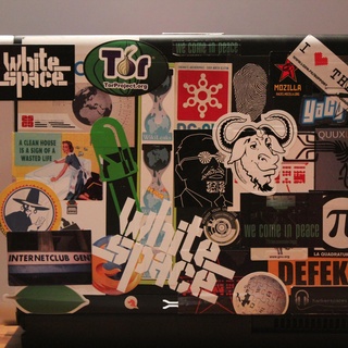 my laptop (Dell XPS 1530M)